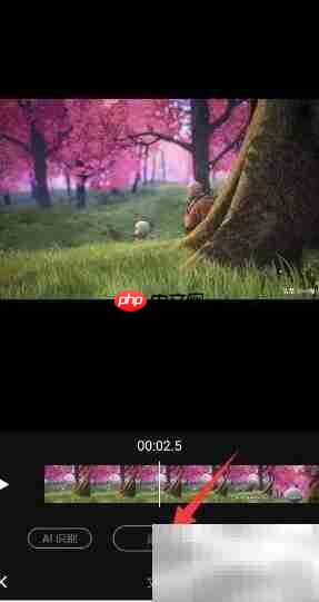 短视频动态字幕添加技巧  第11张