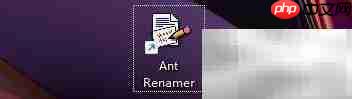 Ant Renamer随机命名设置技巧  第1张