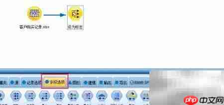 SPSS Modeler设为标志技巧  第3张
