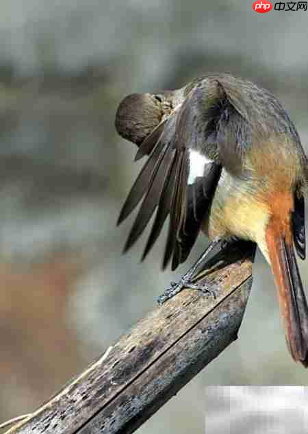 裸辞避坑指南  第4张