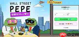pepe币2025年价格预测  第1张