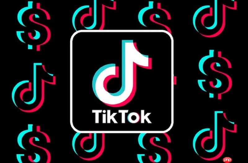Tiktok免费在线入口 官方短视频入口  第1张