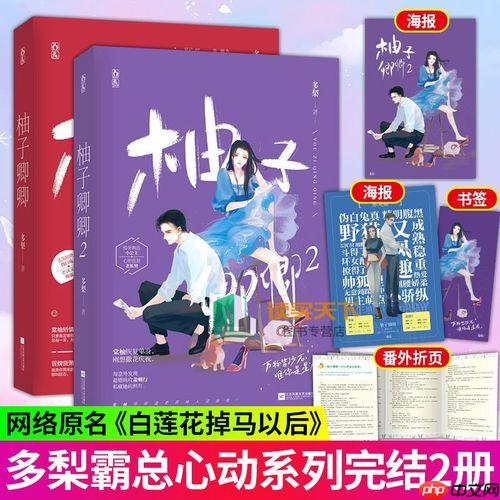 柚子小说在线看书，一键直达官网入口  第1张