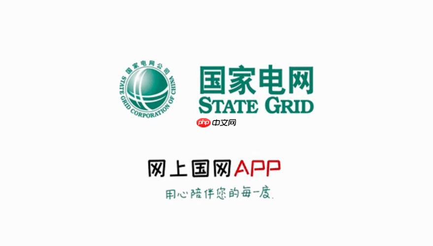 网上国网手机版APP网页入口-手机浏览器登录官方页面  第1张