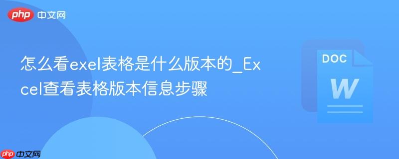 怎么看exel表格是什么版本的_Excel查看表格版本信息步骤  第1张