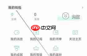 长佩阅读如何查看我的钱包 第2张 长佩阅读如何查看我的钱包 第2张