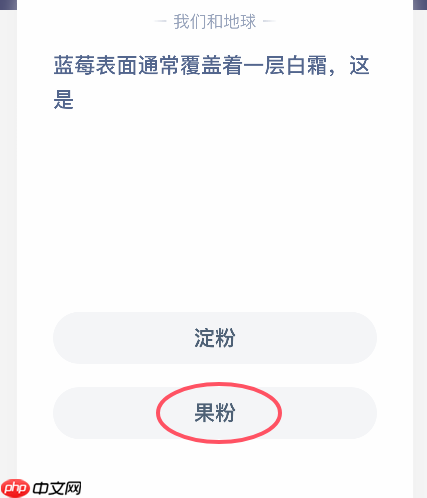 蓝莓表面通常覆盖着一层白霜这是  第1张