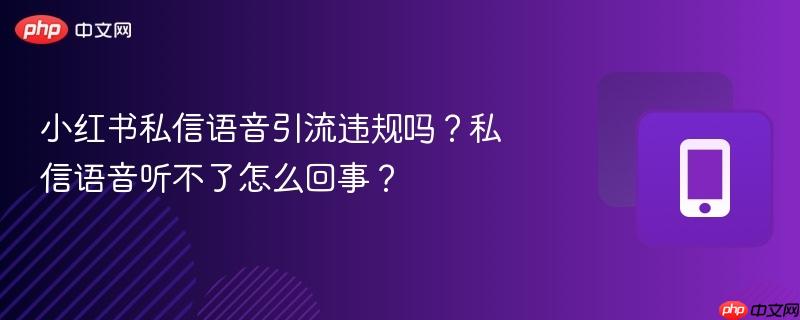 小红书私信语音引流违规吗？私信语音听不了怎么回事？  第1张