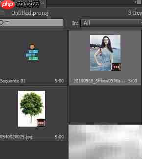Premier多重曝光技巧  第6张