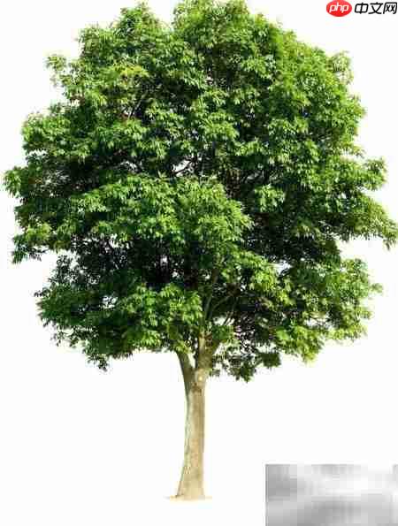 Premier多重曝光技巧  第5张