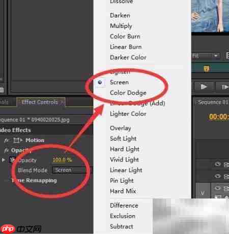 Premier多重曝光技巧  第9张