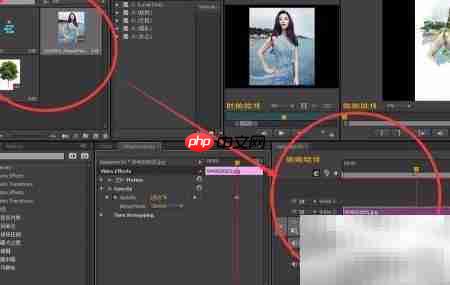 Premier多重曝光技巧  第7张