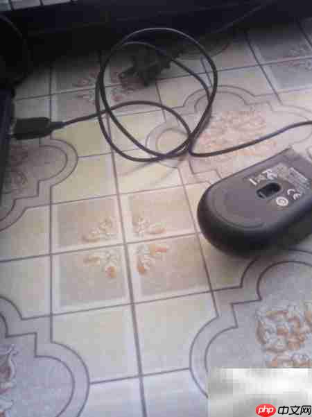 鼠标插上不亮？快速解决方法  第1张