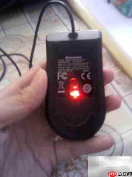 鼠标插上不亮？快速解决方法  第4张