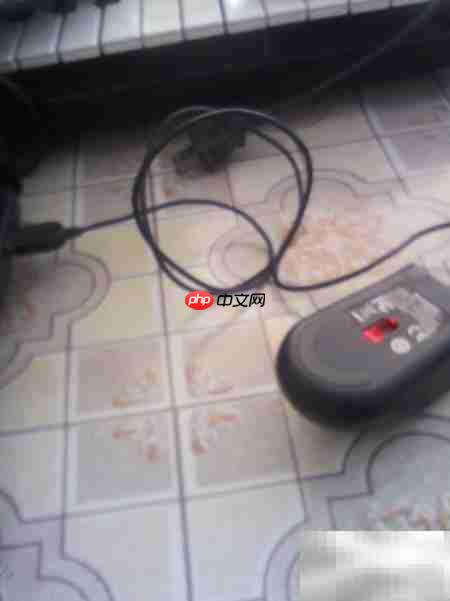 鼠标插上不亮？快速解决方法  第5张