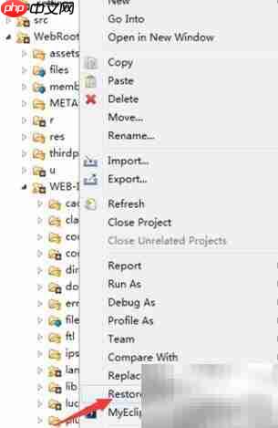 MyEclipse误删项目恢复方法  第2张