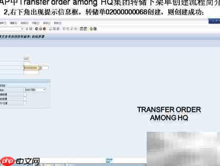 SAP转储下架单创建  第2张