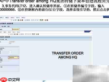 SAP转储下架单创建  第3张