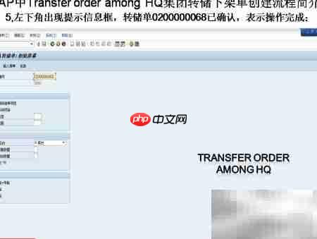 SAP转储下架单创建  第5张