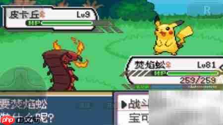 口袋妖怪剑盾极巨化方法 第4张 口袋妖怪剑盾极巨化方法 第4张