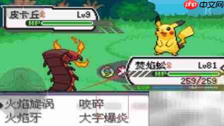 口袋妖怪剑盾极巨化方法 第5张 口袋妖怪剑盾极巨化方法 第5张