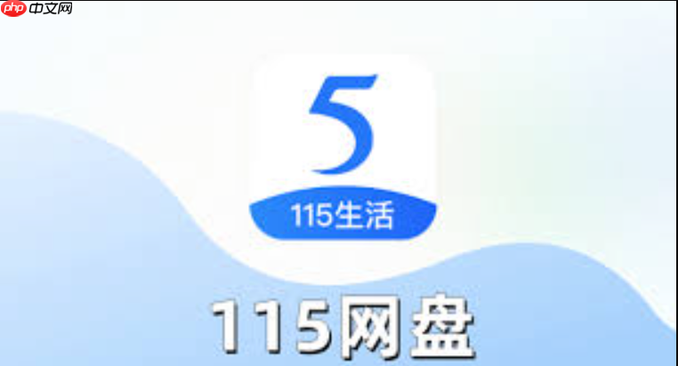 115网盘官方网站最新通道_115网盘平台快速链接至主页  第1张