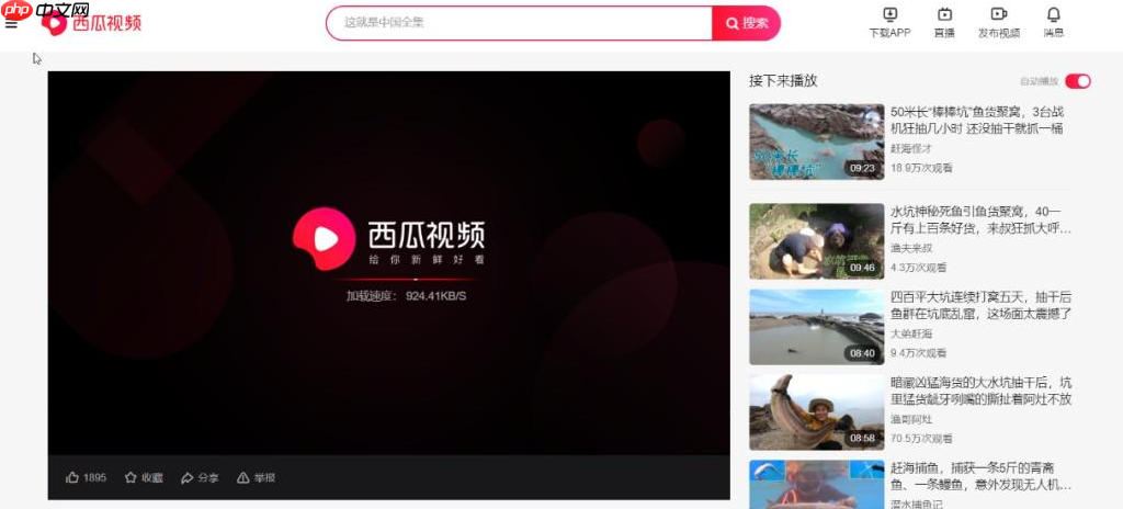 《西瓜视频》网页版登录入口  第1张