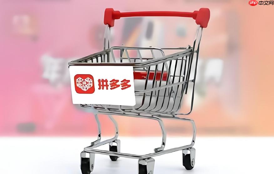 拼多多商家版新手开店怎么操作_拼多多商家版新手开店注册流程教程  第1张