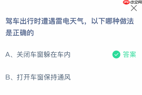 驾车出行时遭遇雷电天气，以下哪种做法是正确的  第1张