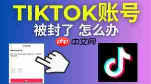 TikTok账号被封的原因是什么  第2张
