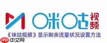 咪咕视频如何设置显示剩余流量  第3张