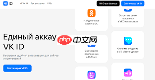 VKontakte常见问题有哪些 第1张 VKontakte常见问题有哪些 第1张