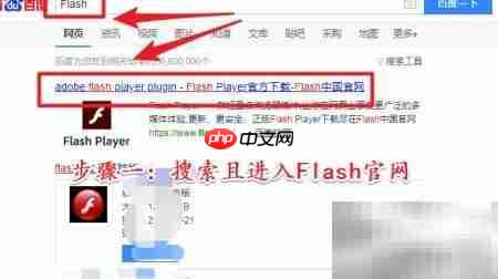 Flash下载方法指南  第1张