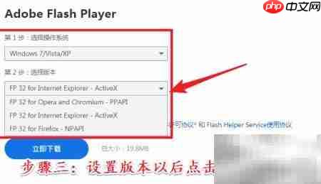 Flash下载方法指南  第3张