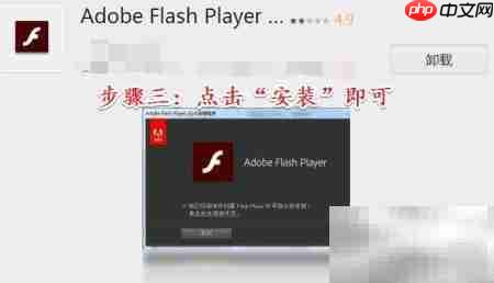 Flash下载方法指南  第6张