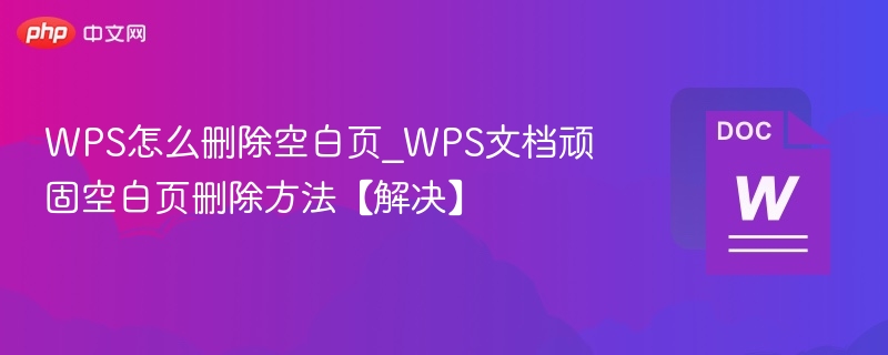 WPS怎么删除空白页_WPS文档顽固空白页删除方法【解决】  第1张