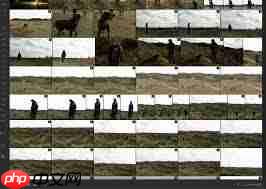 Lightroom如何关闭堆叠原始图像  第3张