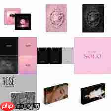 在哪能买到blackpink专辑 第1张 在哪能买到blackpink专辑 第1张