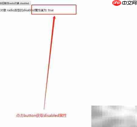 radio对象disabled属性用法解析 第5张 radio对象disabled属性用法解析 第5张