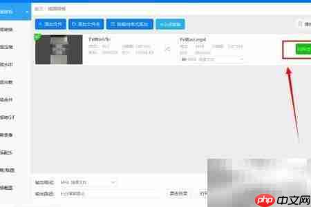 FLV转AVI方法指南  第5张