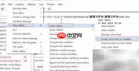Stata变量标签映射设置  第4张