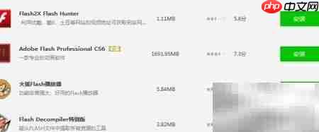 如何下载Flash？详细步骤指南  第4张