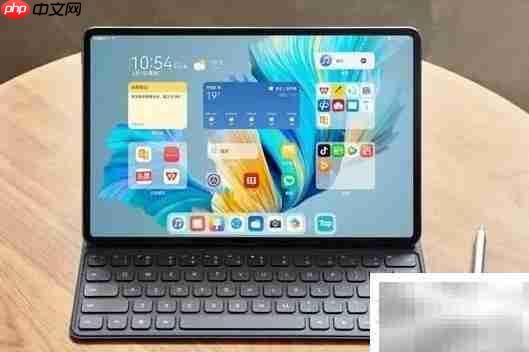 Pad指的是一种平板电脑  第1张