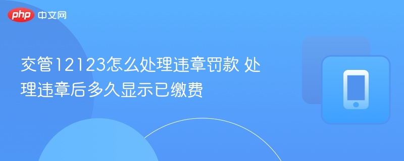 交管12123怎么处理违章罚款 处理违章后多久显示已缴费 第1张 交管12123怎么处理违章罚款 处理违章后多久显示已缴费 第1张