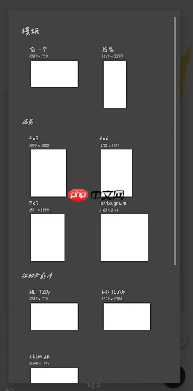《painter》自定义画布尺寸方法  第1张