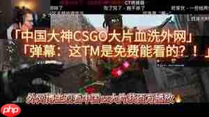 哪里可以免费看csgo大片  第1张