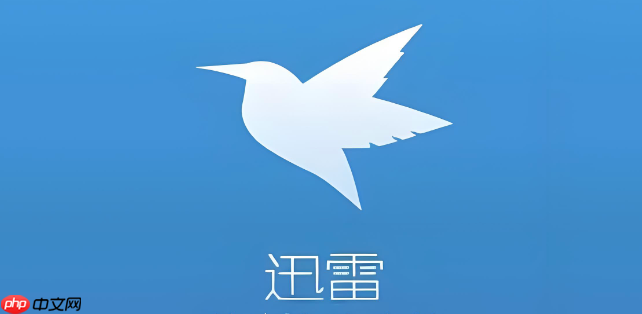 迅雷网盘最新官网主页地址_迅雷网盘平台直达官方链接入口  第1张