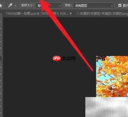 Photoshop变量可见性设置方法  第1张