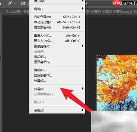 Photoshop变量可见性设置方法  第2张