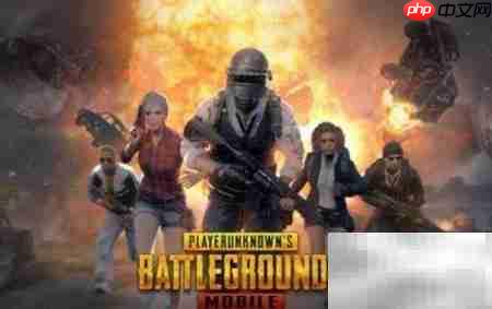 和平精英美化包使用教程  第4张